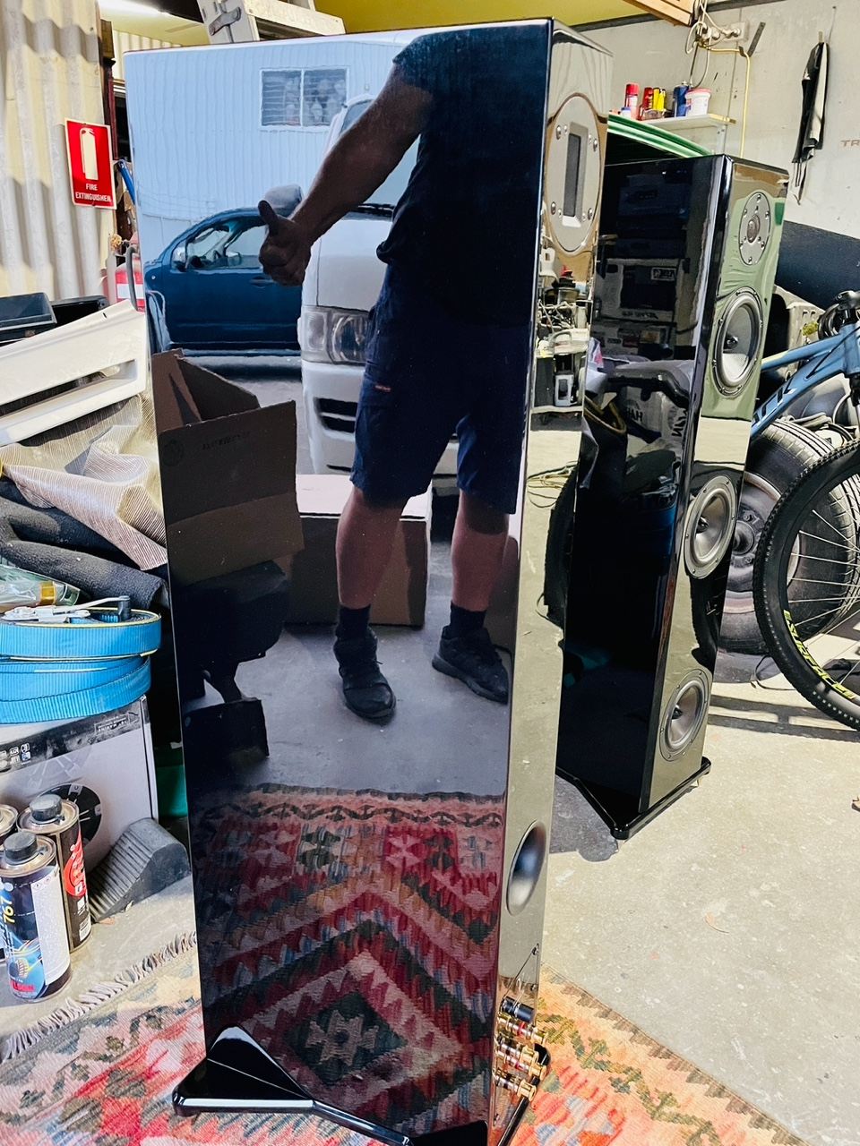 Von Schweikert audio ESE speakers