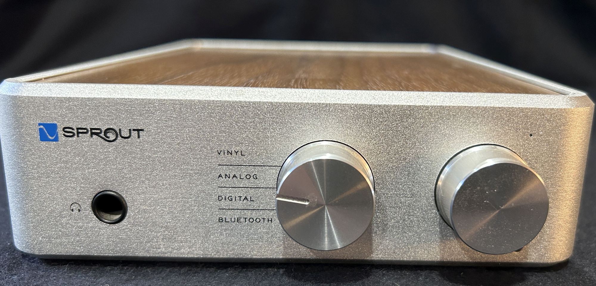 Sprout Amp Front 2.JPG