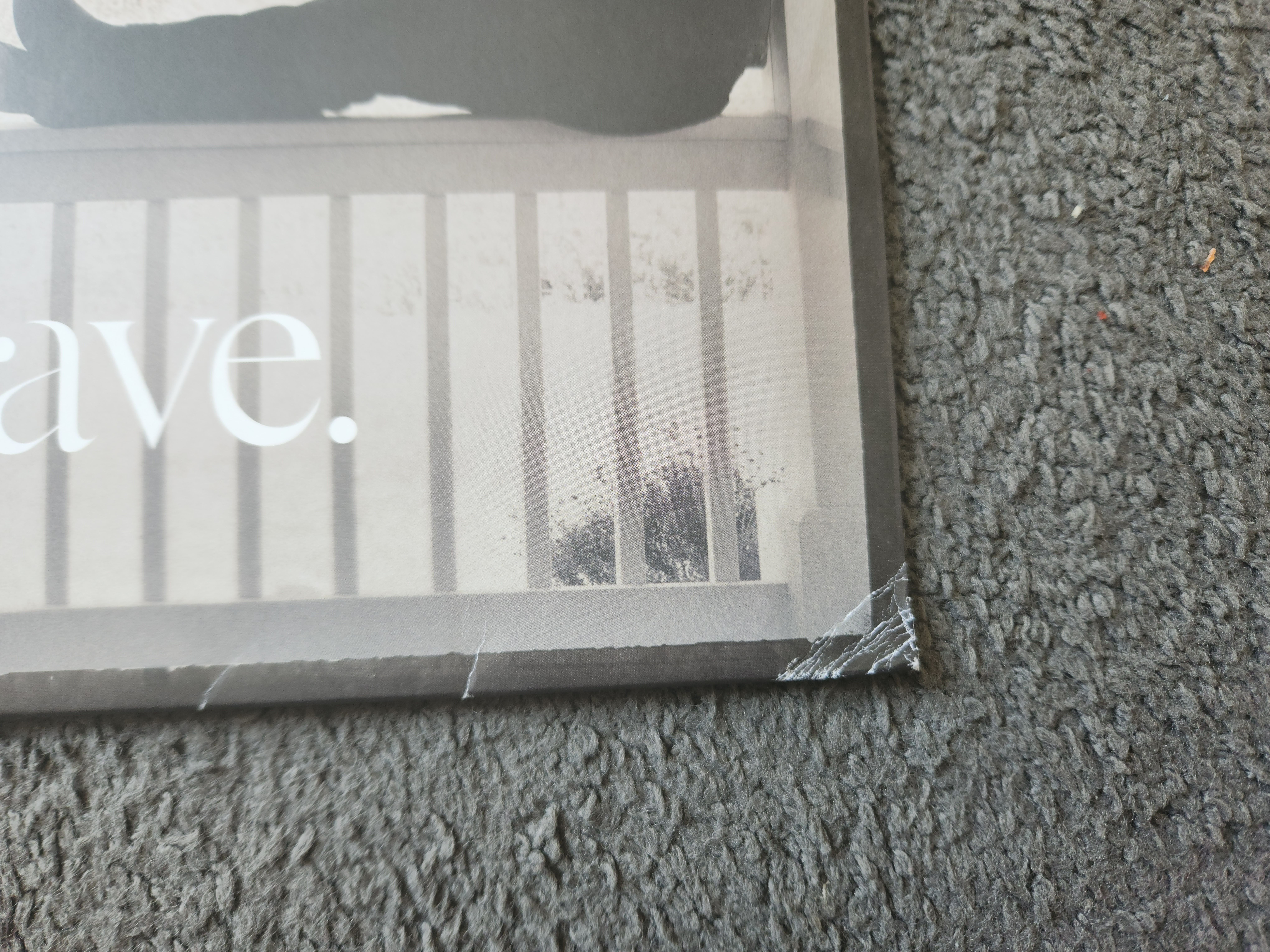 FS: YOU+ME - ROSE AVE. LP - (DALLAS GREEN & ALECIA MOORE)