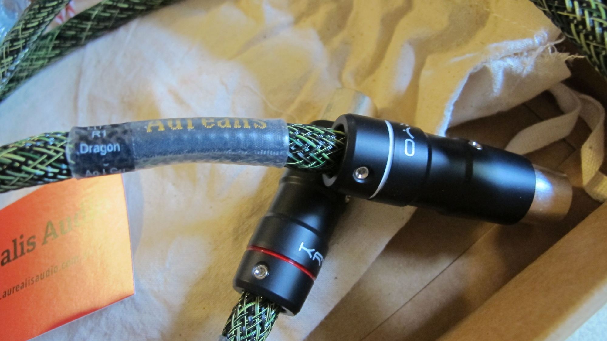 DRAGON AND CARBON 002.JPG