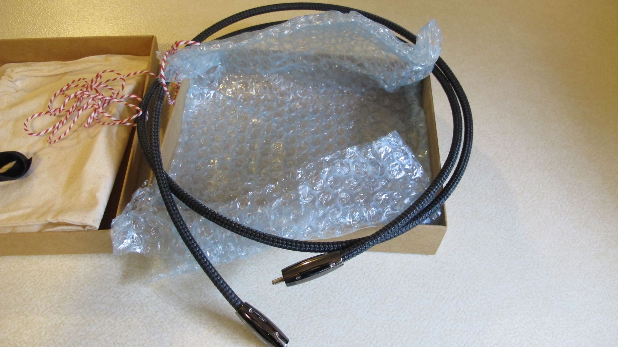 DRAGON AND CARBON 004.JPG