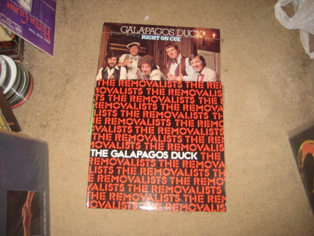 GALAPAGOS DUCK2 lps