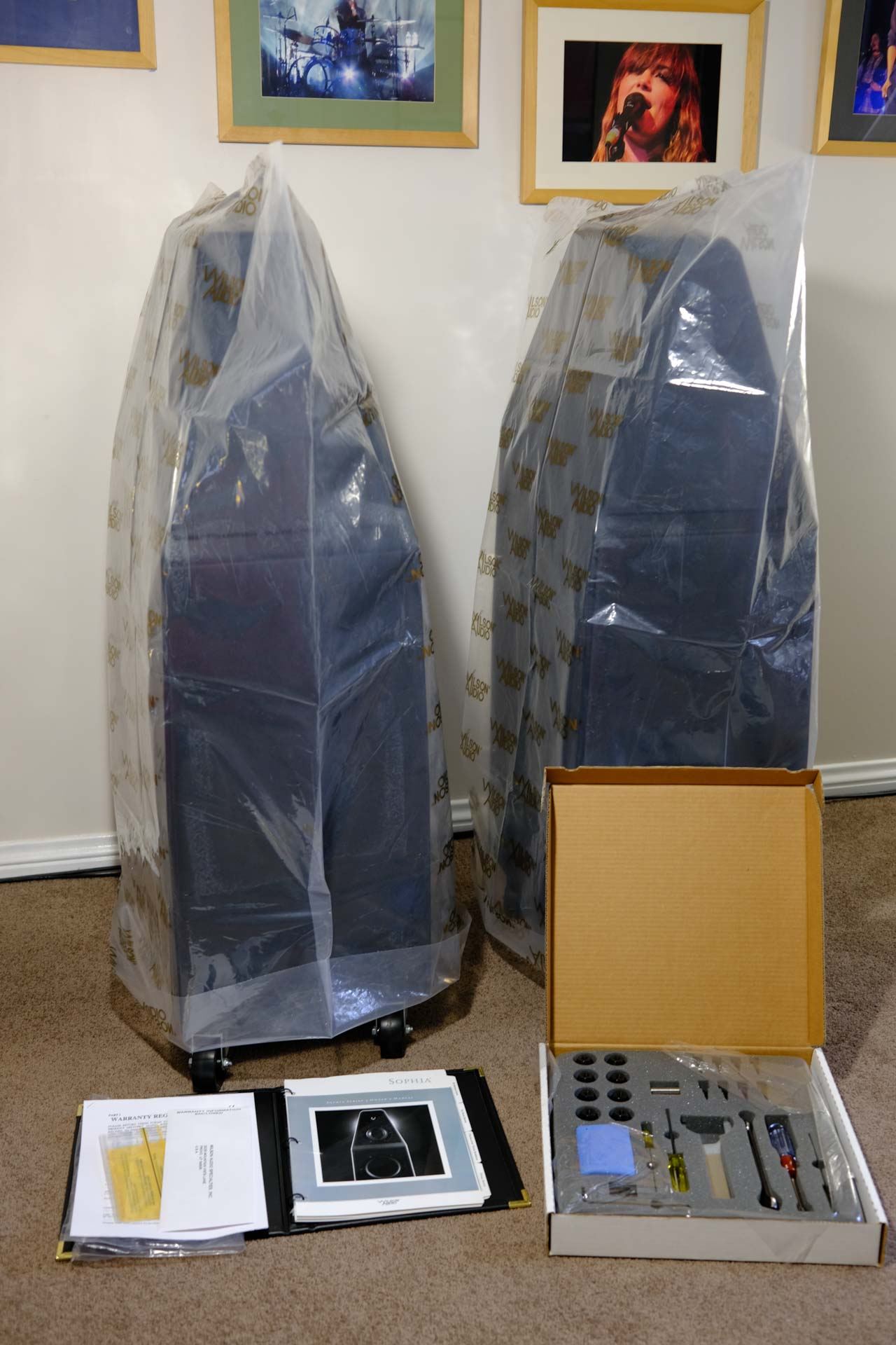 Wilson Audio Sophia Series 3 Floor Standing Speakers