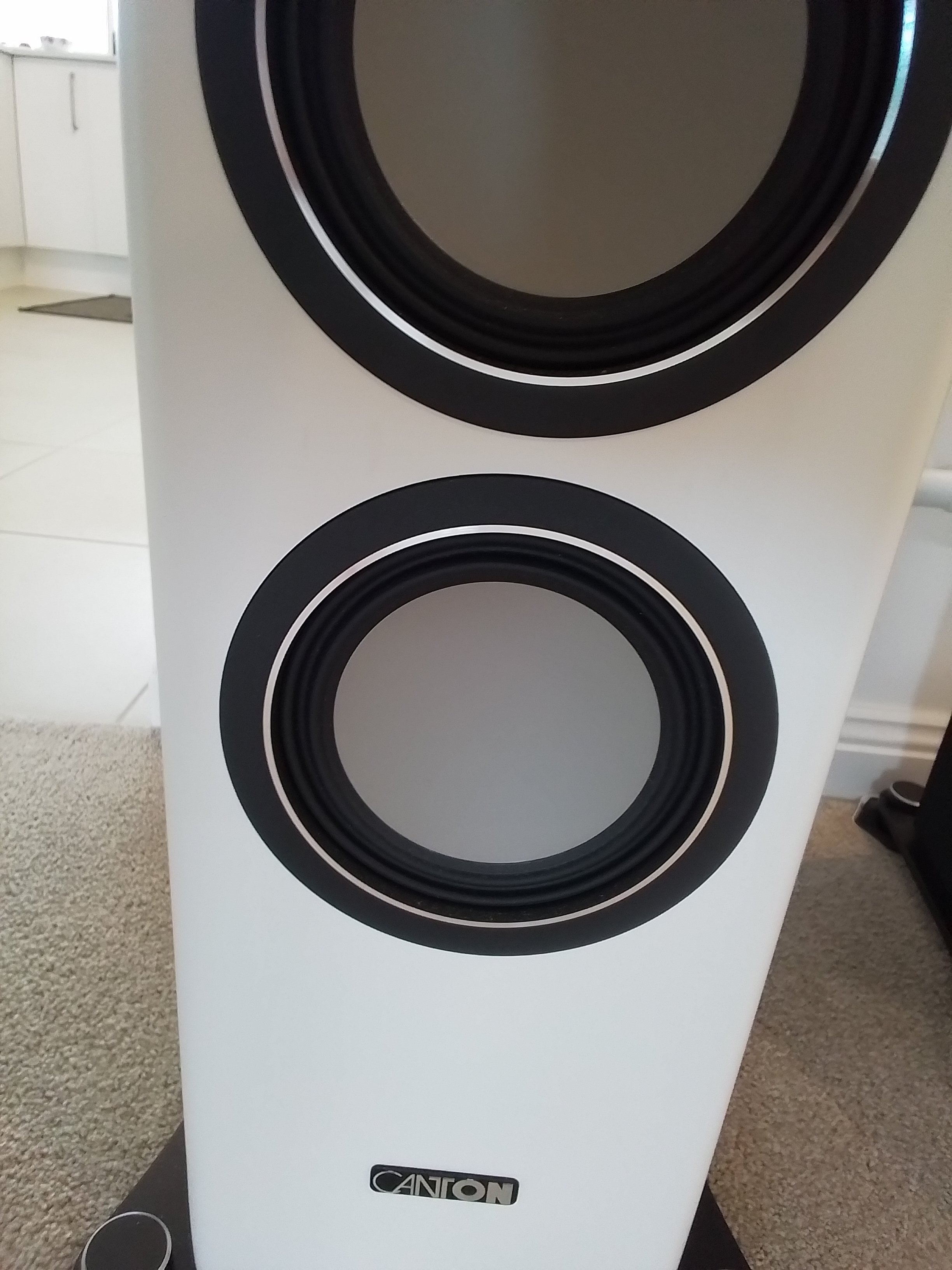 Canton A 35 Special Edition Floor Standing Speakers