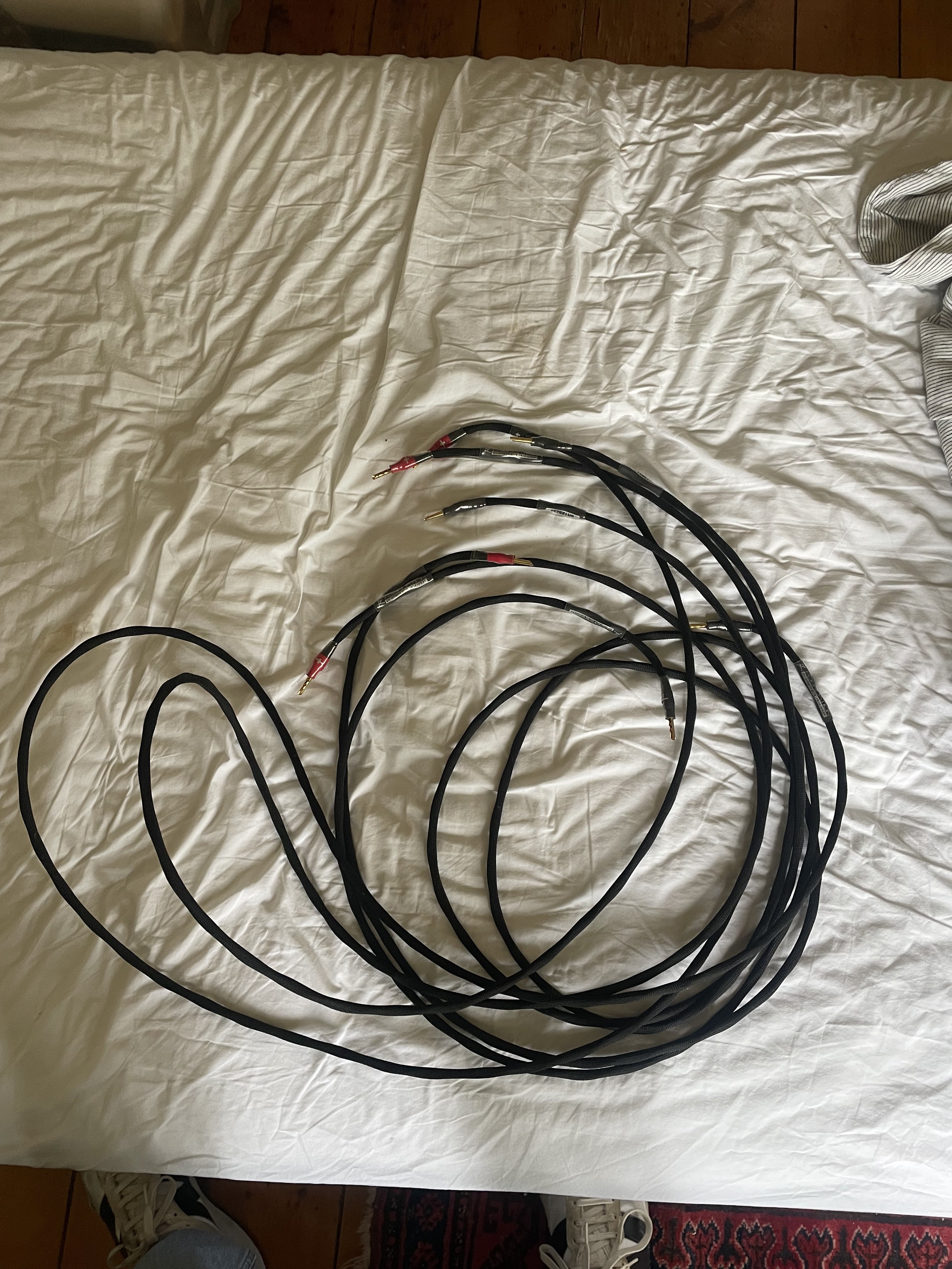 Synergistic Research Foundation Speaker cables (8Ft)