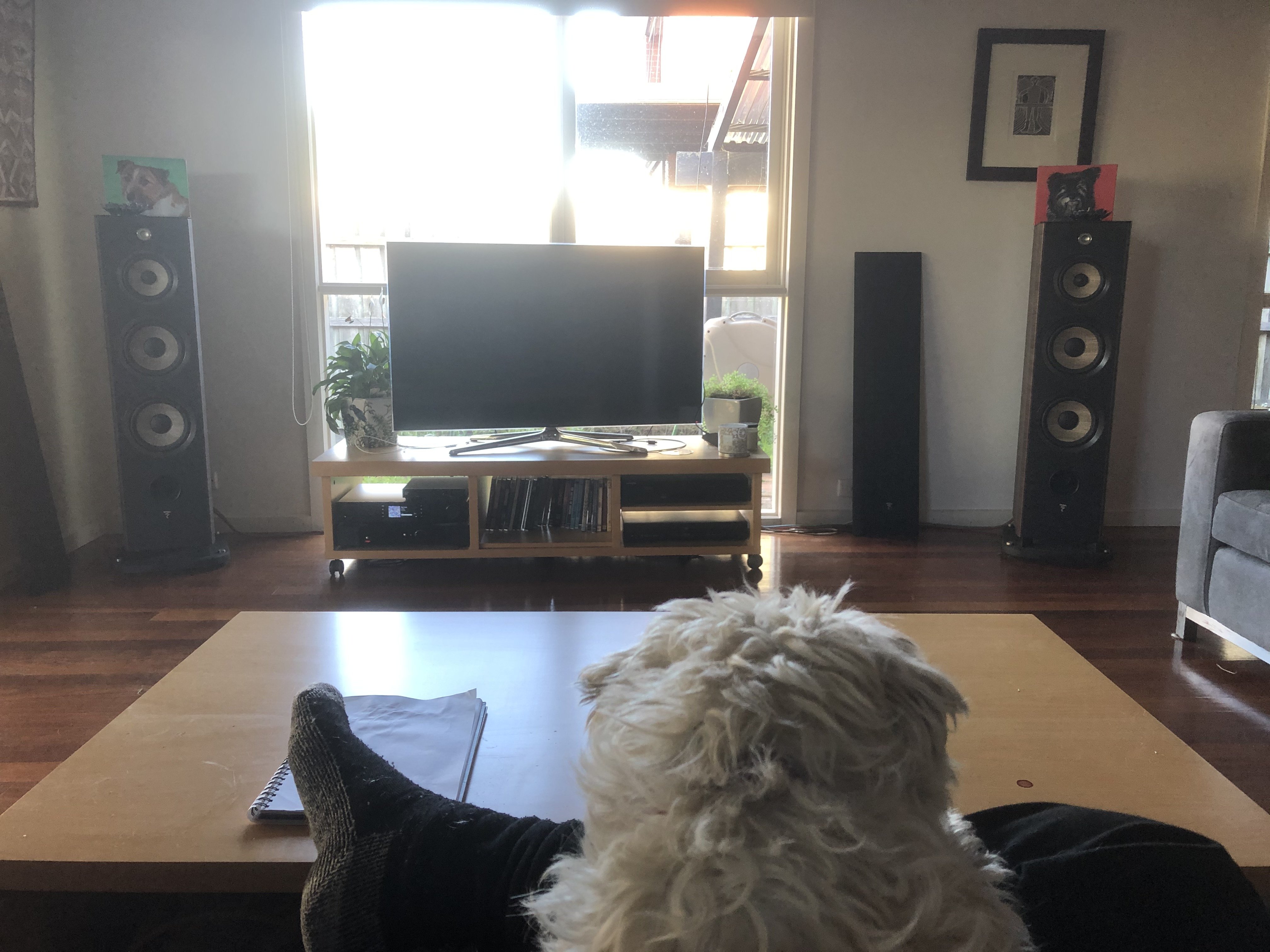 Rega ELEX-R Integrated Amp