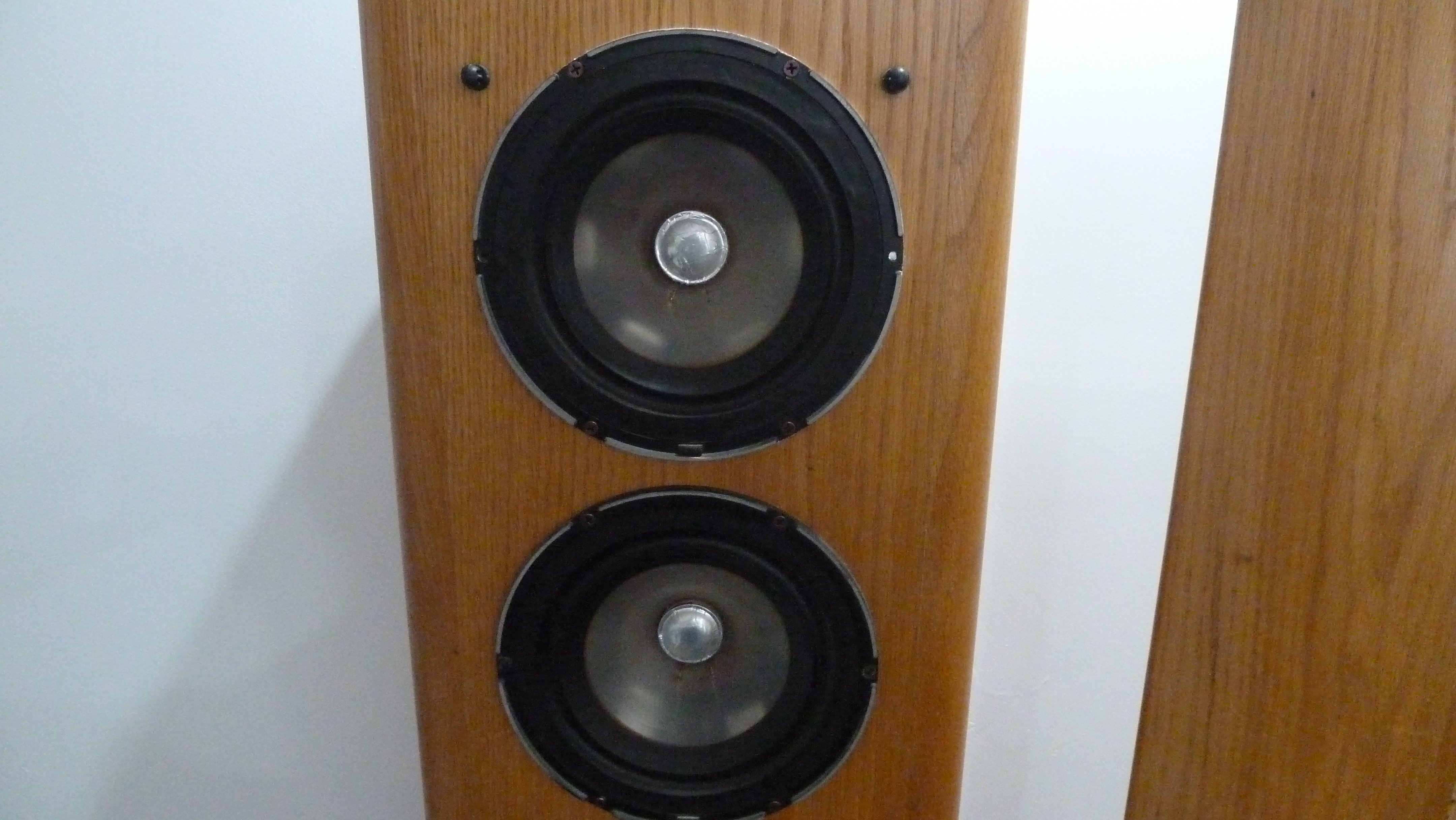 Infinity RS1 - Rare Four Column Tower Baffles