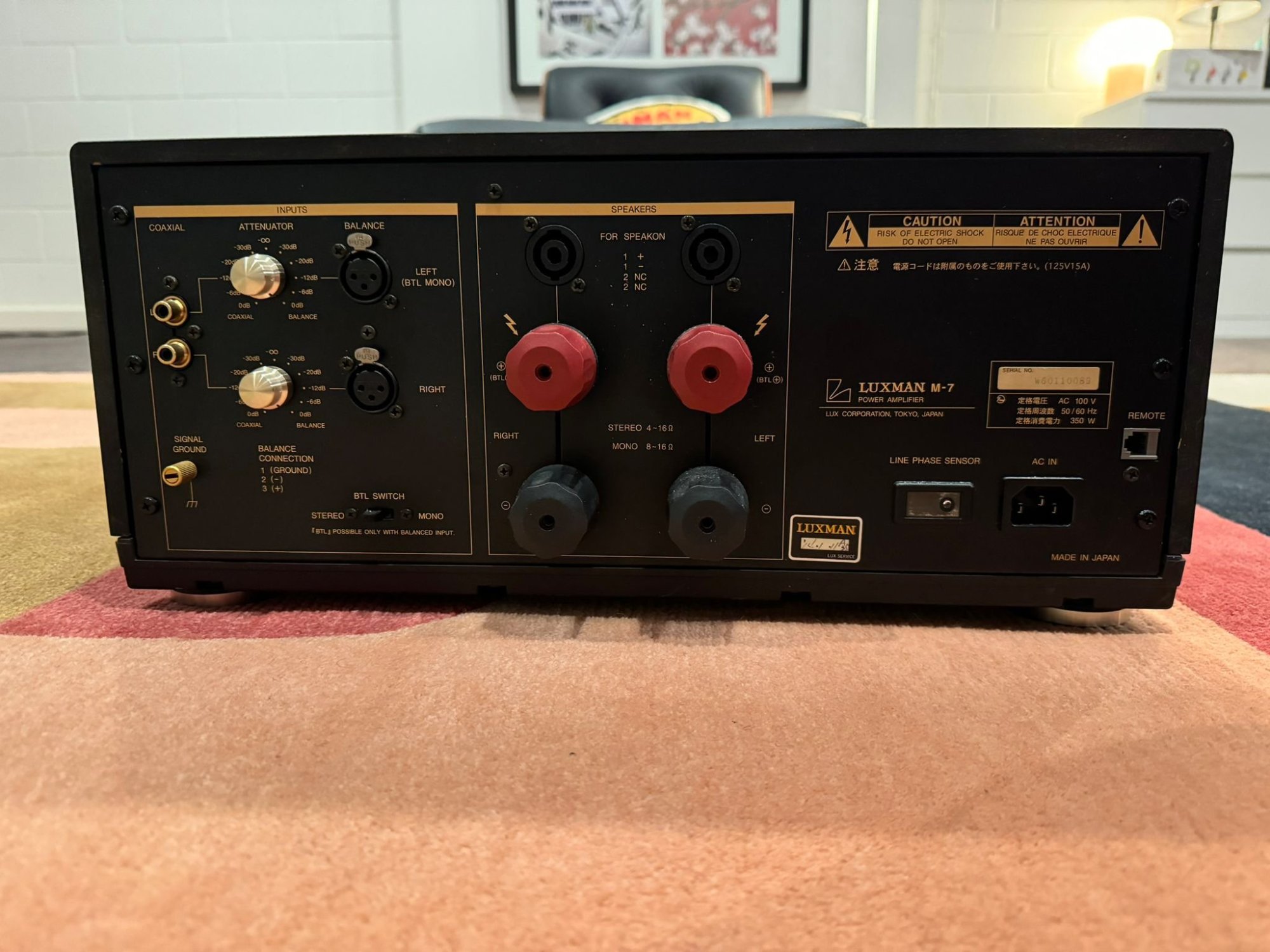 WhatsApp Image 2023-11-13 at 9.03.53 PM.jpeg