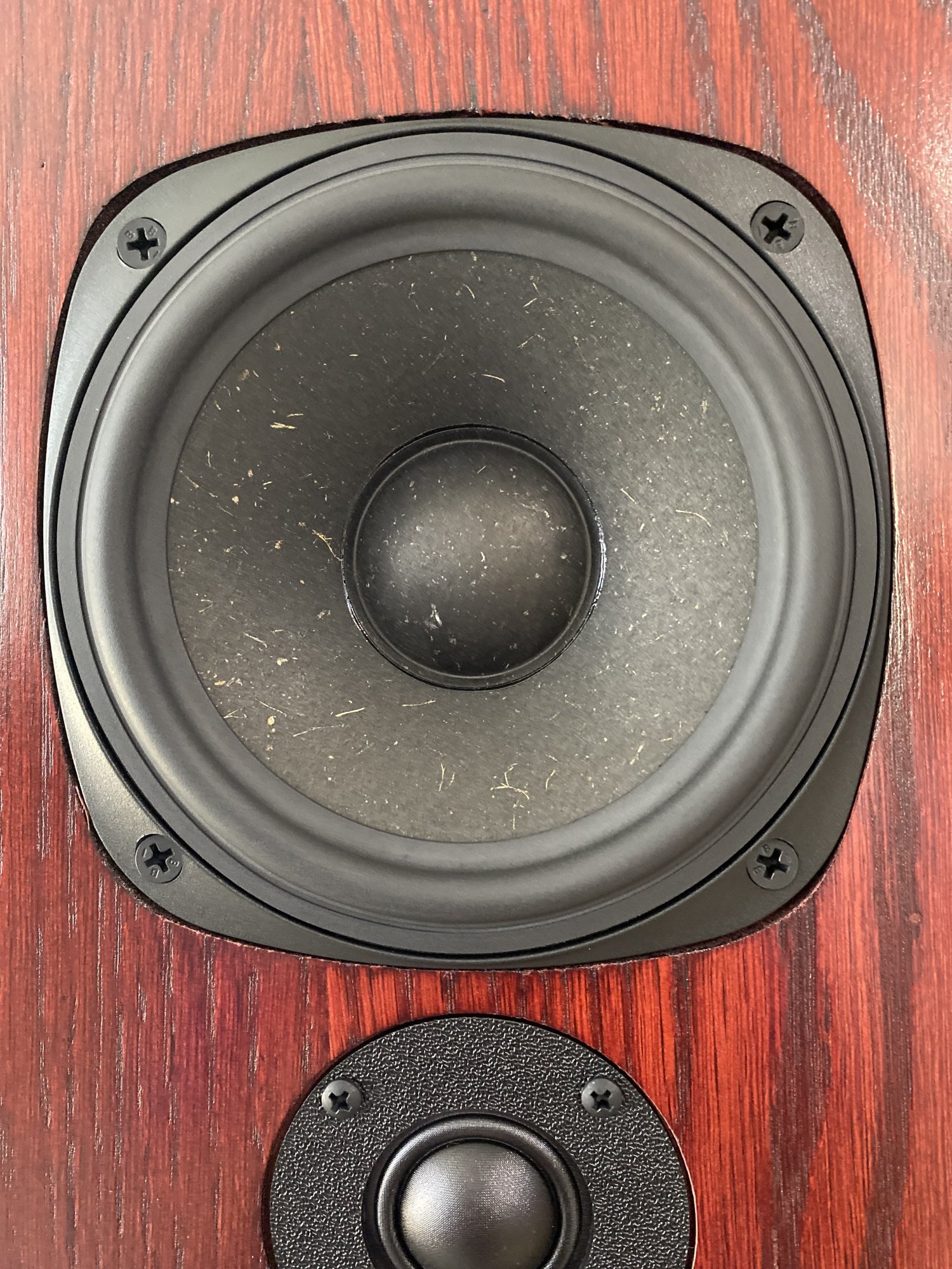 Adelaide Speakers Ascension Summoner Pair ﻿ Stereo, Home Cinema