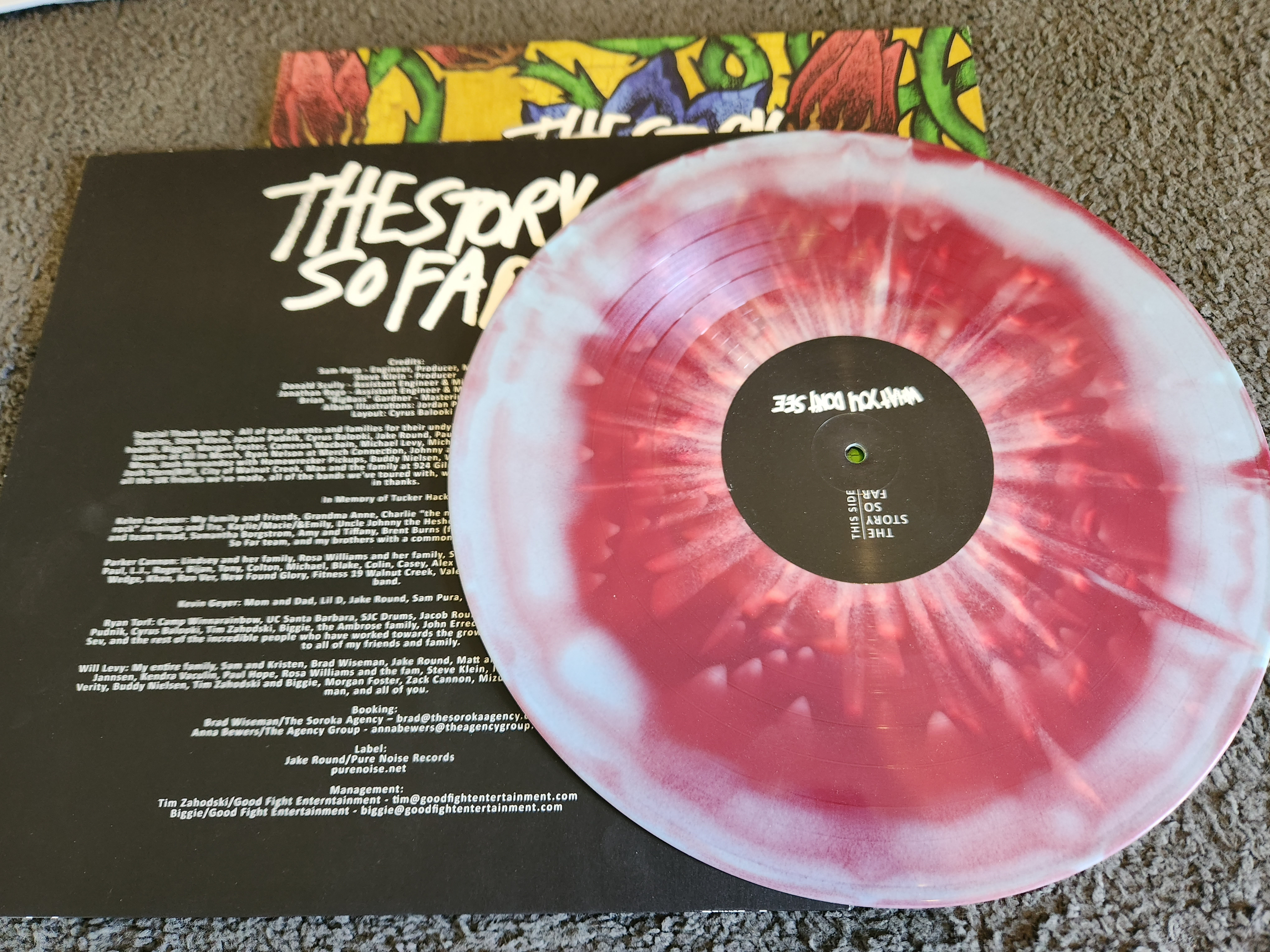 FS: THE STORY SO FAR - WHAT YOU DON'T SEE LP - PURPLE/WHITE