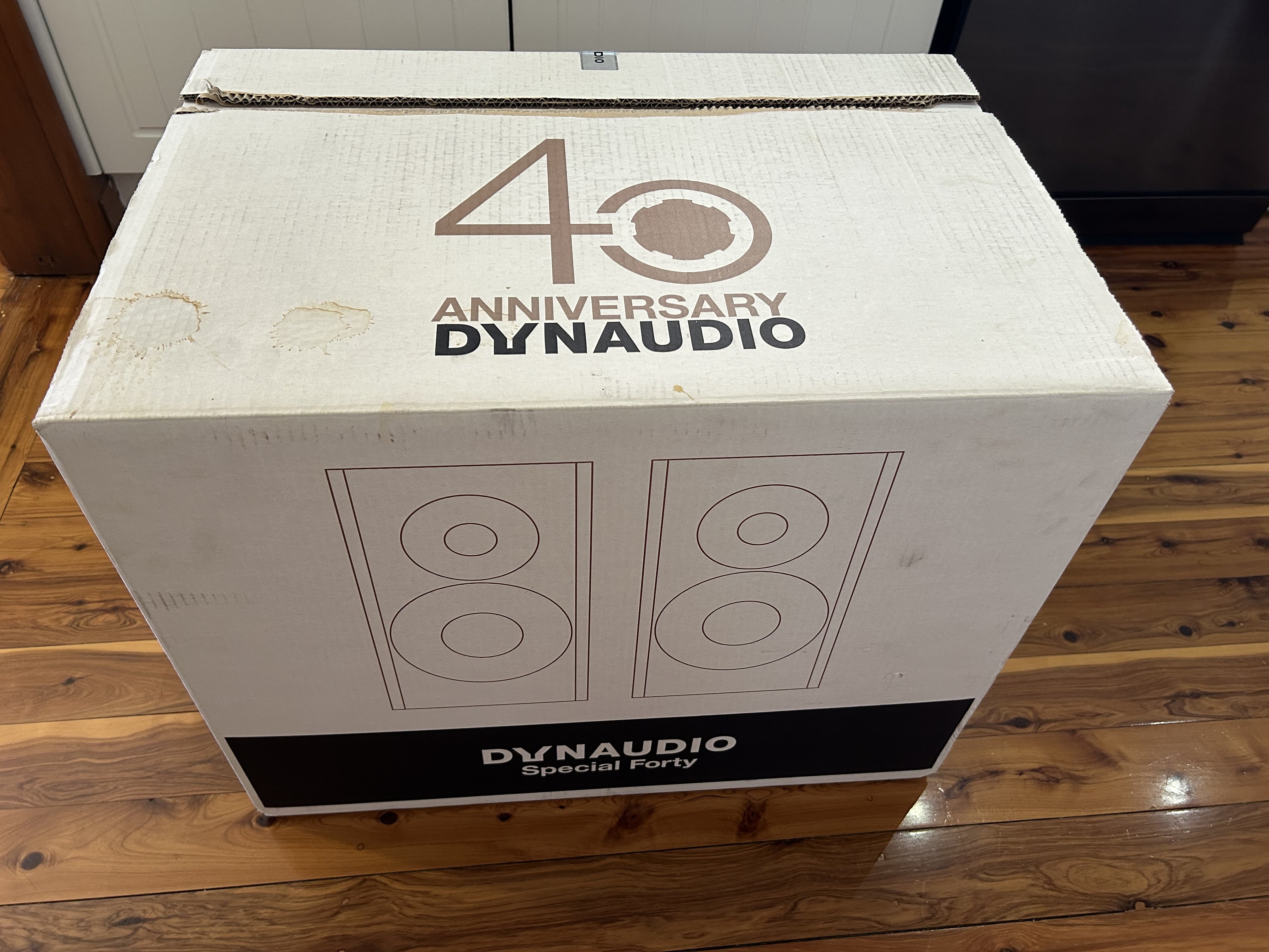 Dynaudio Special 40, Grey Birch.