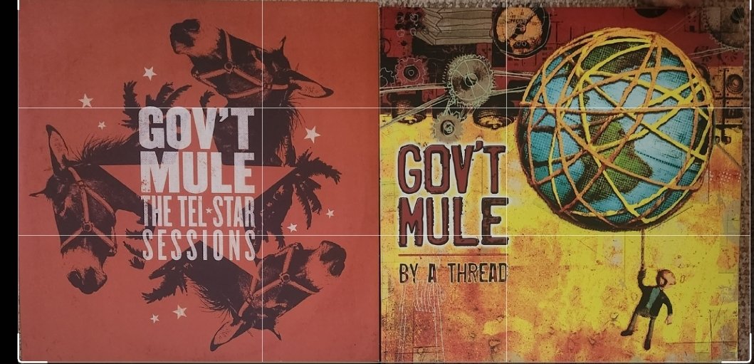 Gov't Mule vinyl x 2