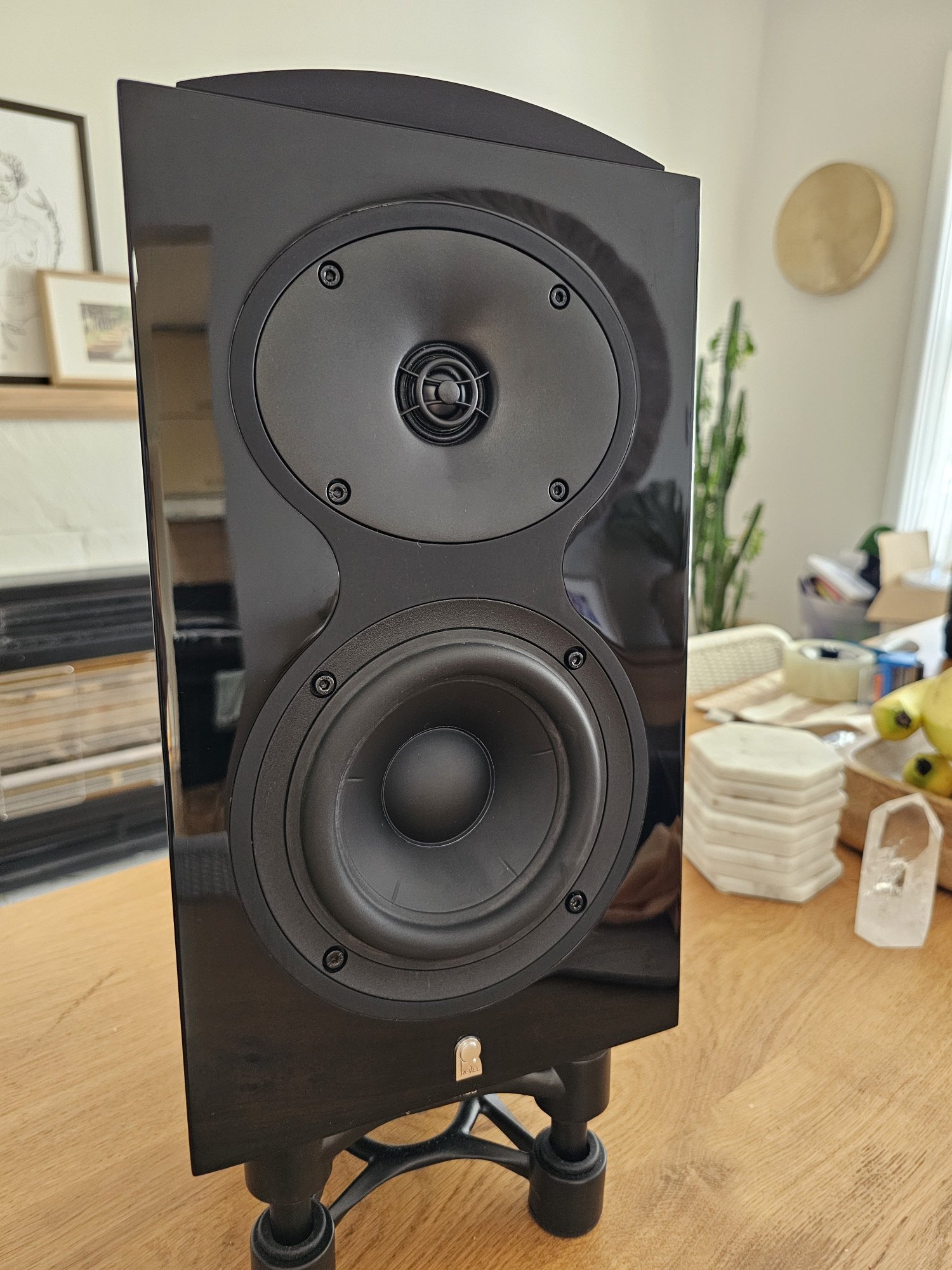 2024-02-10 15.44.49.jpg