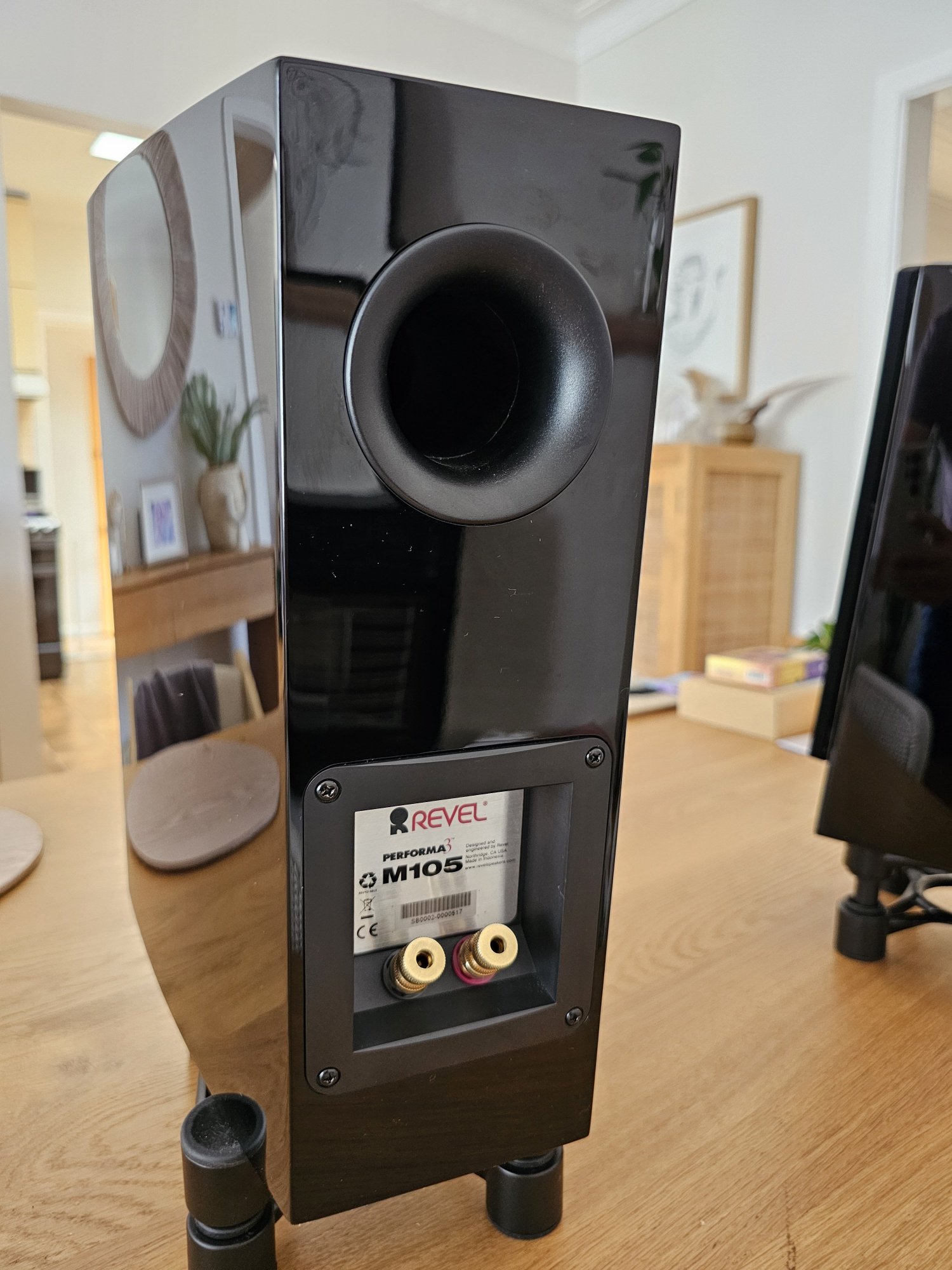 2024-02-10 15.45.49.jpg