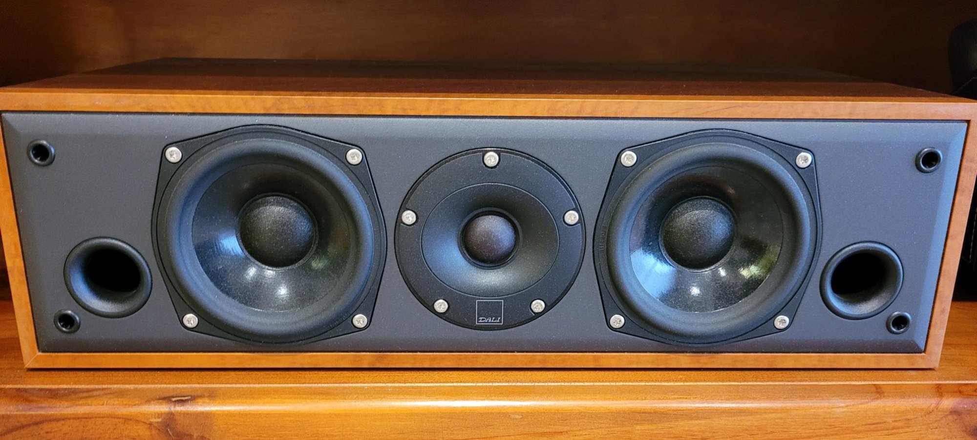 Centre C1000 speaker grill off.jpg