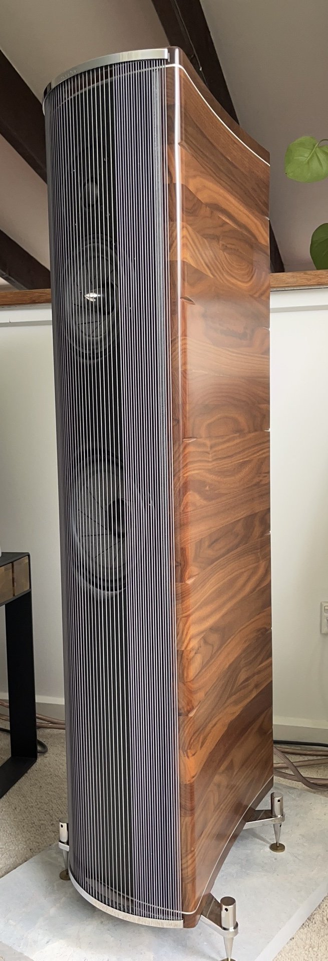 Franco Serblin Accordo Essense Speaker