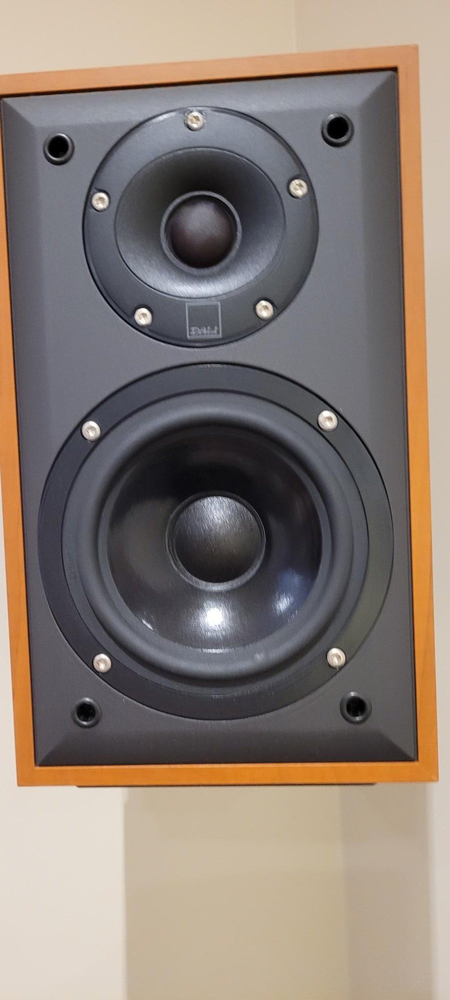 LH 1001 speaker grill off.jpg