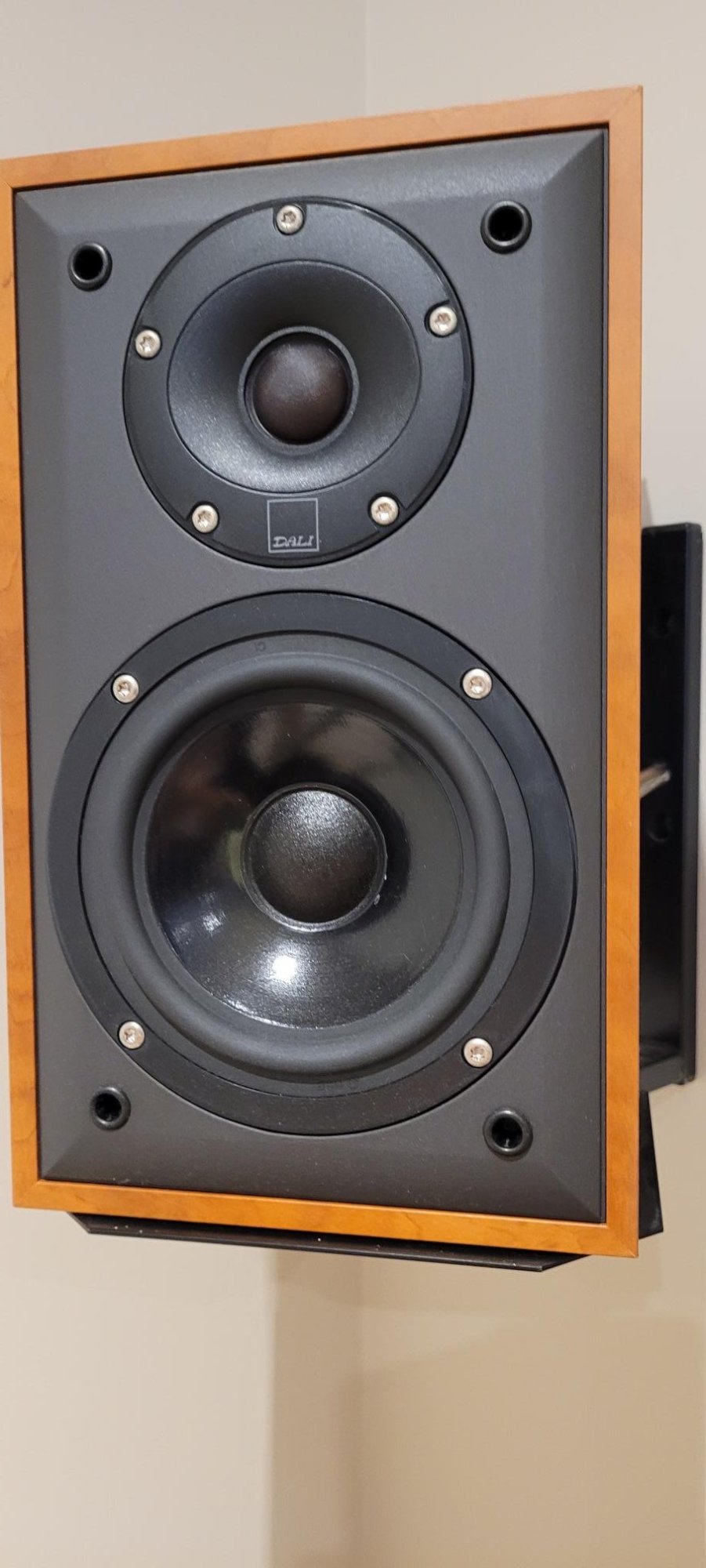 RH 1001 Bookshelf speaker grill off.jpg