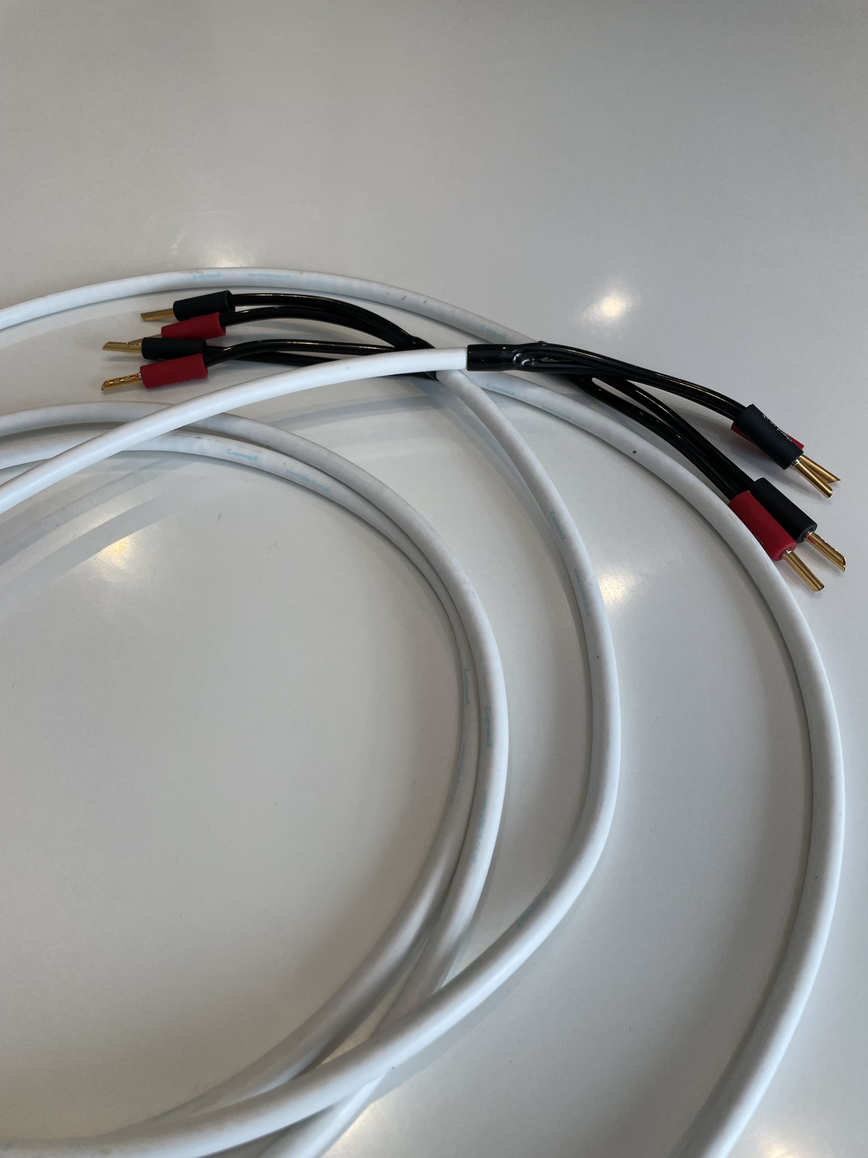 Chord CscreenX Speaker cable