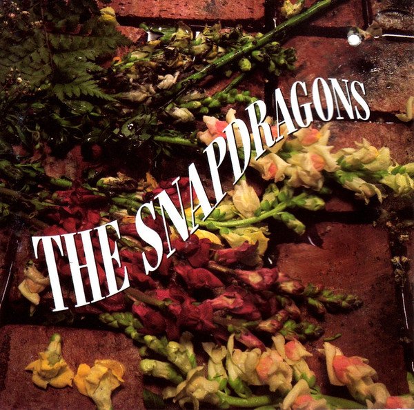 Snapdragons Keymsham Spinning tunes on the late shift. - Page 2484 - Currently Spinning ...