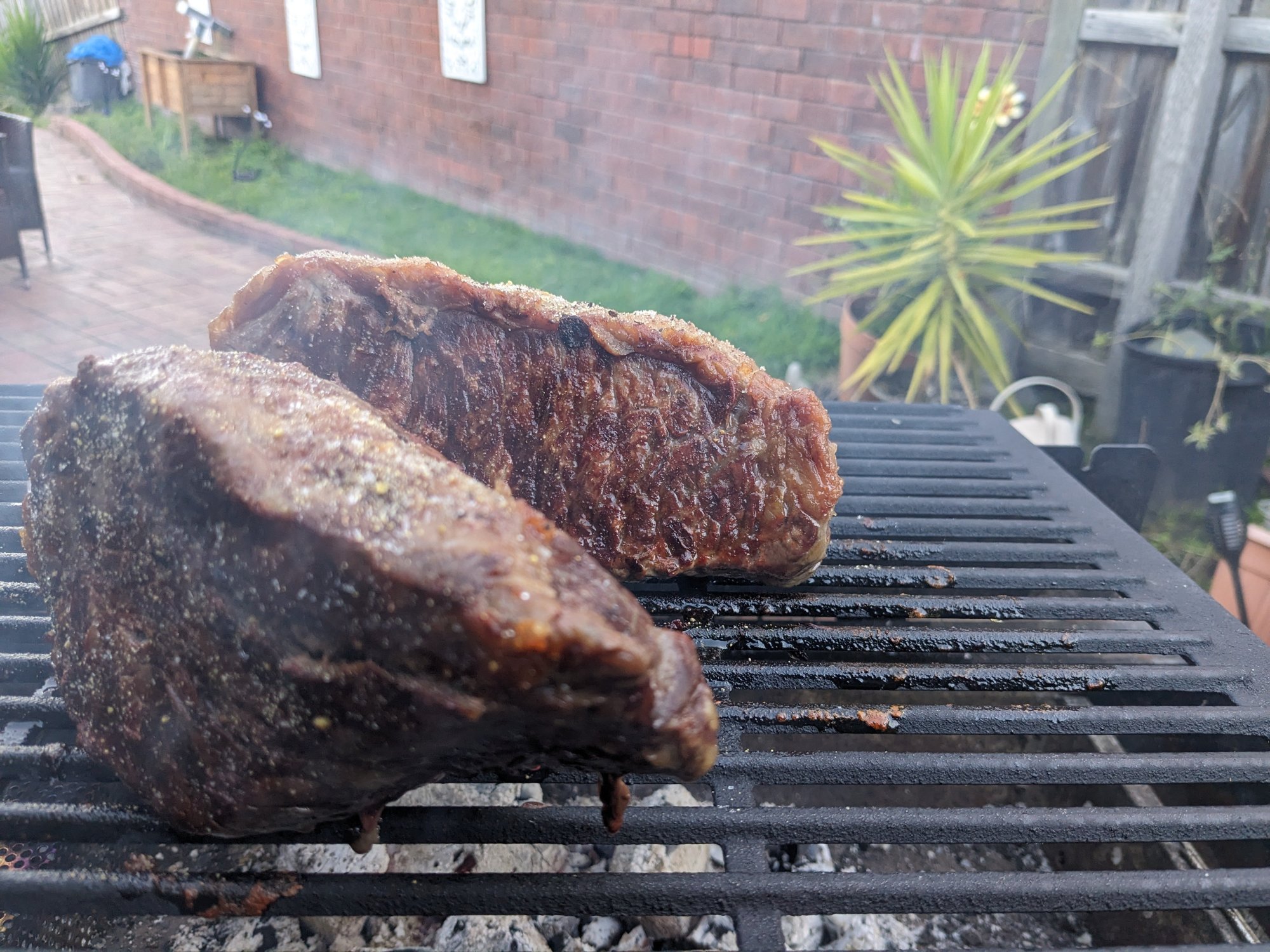 wagyu porterhouse.jpg