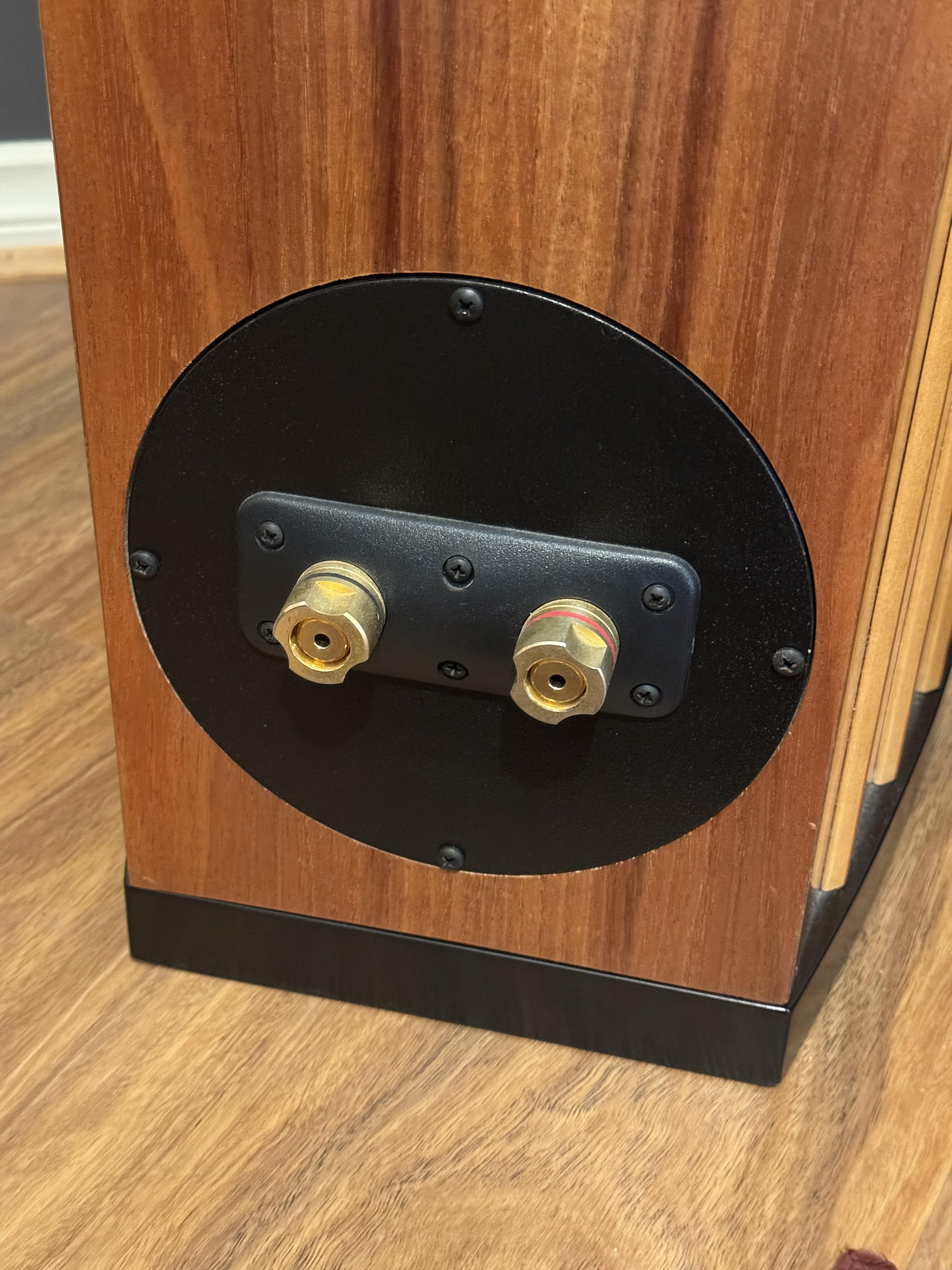 Adelaide Speakers (Ascension) T2103SaCTL Floorstanding Loudspeakers ﻿ Floorstanders & Large