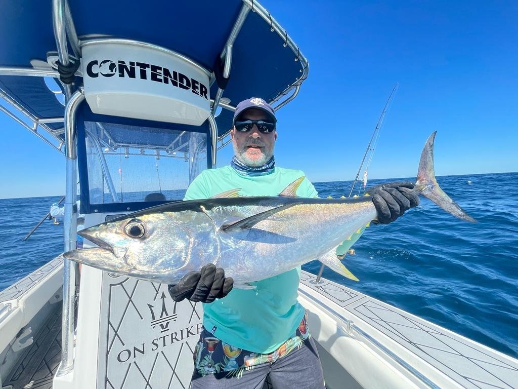 Falling in & out of love with HIFI - General Hi-Fi & Beginners ...