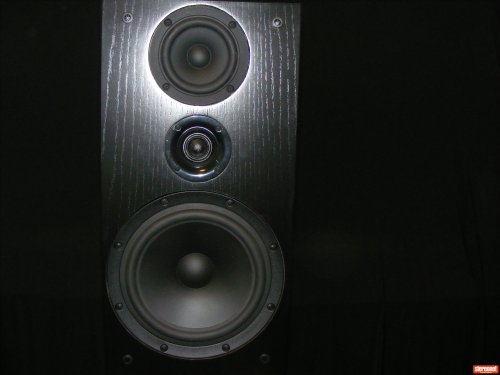 Ascension (Adelaide Speakers) M823 SQ TL Standmount Loudspeakers