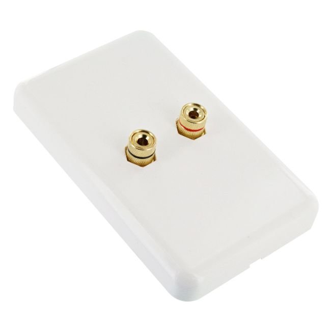 premium_pre-assembled_wall_plate_for_1_speaker_wp1021-1.jpg.2d7af3a318e92317372b142c95d928d6.jpg