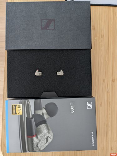 Sennheiser IE600 Headphones - In Ear Monitors