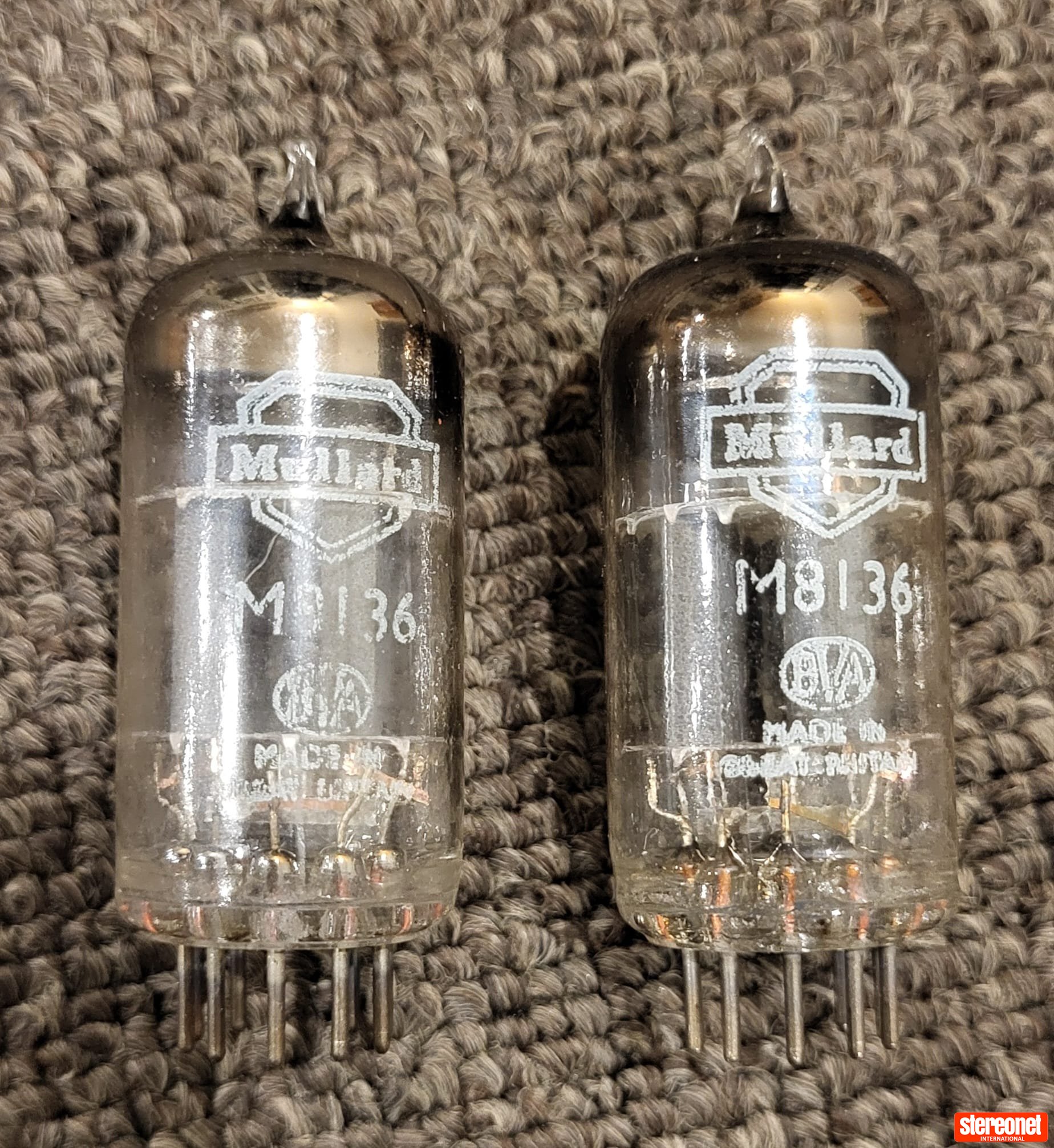 ムラード M8136 (ECC82)ボックスプレート Mullard M8136 CV4003