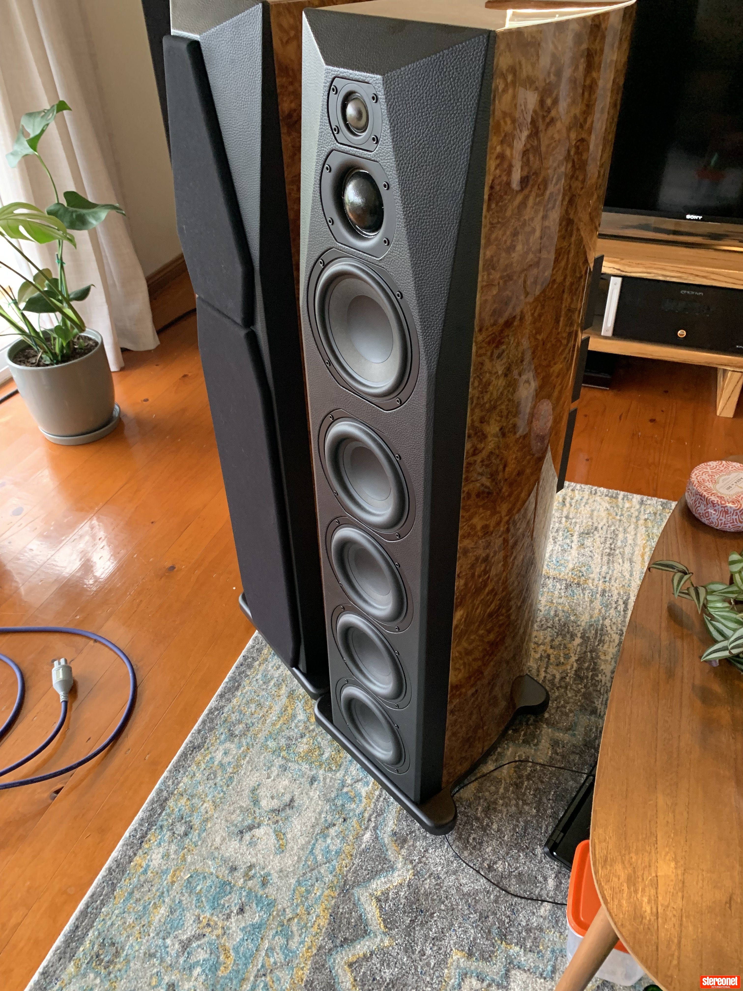 SGR Audio CX4 Floorstanding Loudspeakers ﻿ Floorstanders & Large Monitors