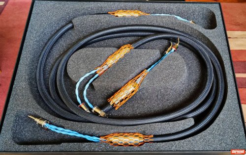 Siltech Cables Classic Anniversary 770L Speaker Cables