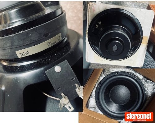 Adire Shiva Mk1 Subwoofer Driver