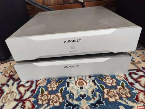 AURALiC Merak Mono Amplifiers