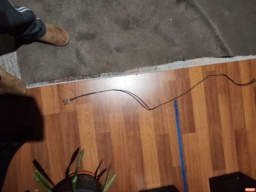 Zu Audio Mission Interconnect Cables (RCA)