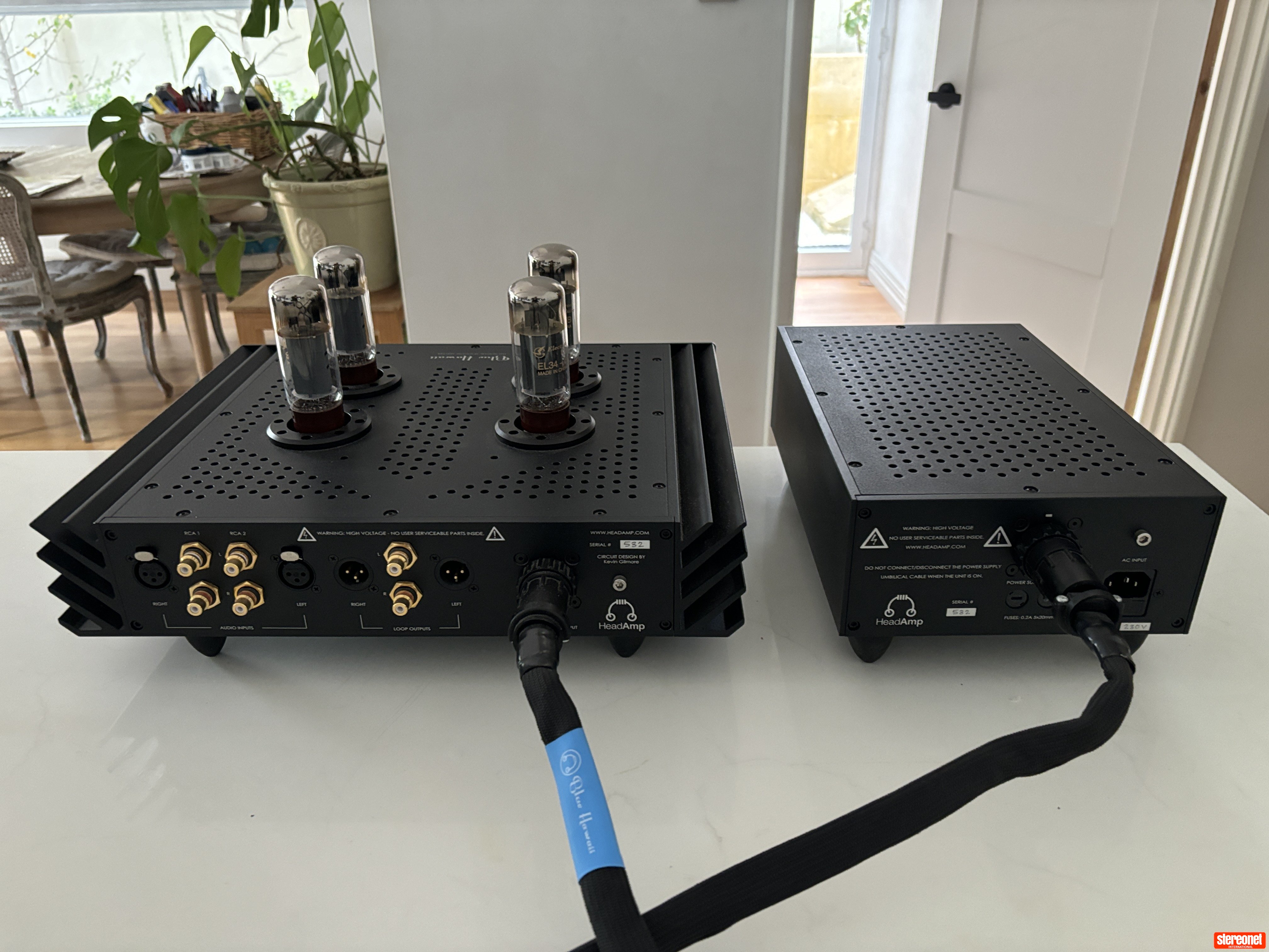 HeadAmp Blue Hawaii SE w/DACT Headphone Amplifier - Headphone Amps ...