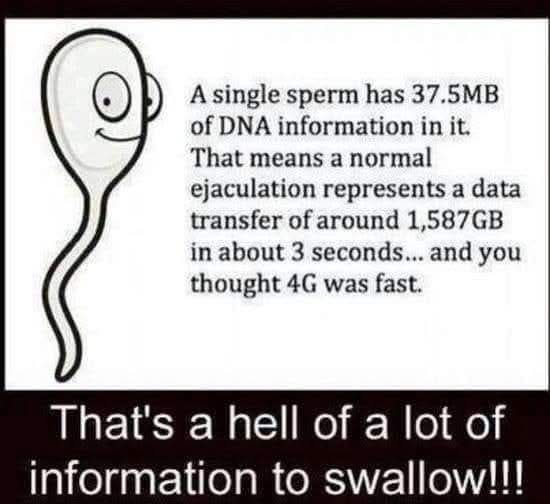 image.png.6be1481c0c9b78e2125a1a1ad5f9a87f.png