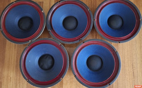 Plessey C12PW Woofer