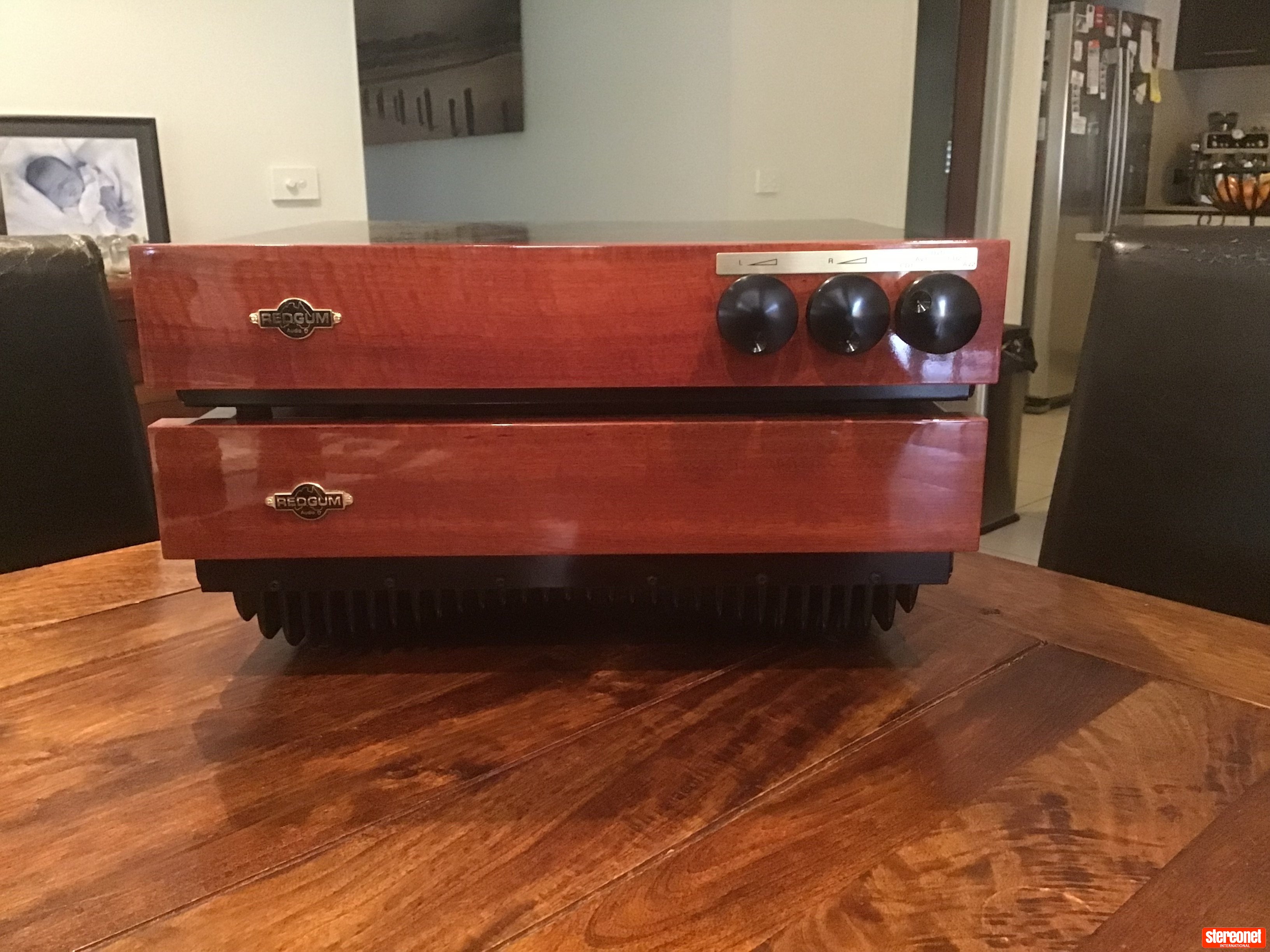 Redgum Audio RGi120 ENR Pre / Power Combination