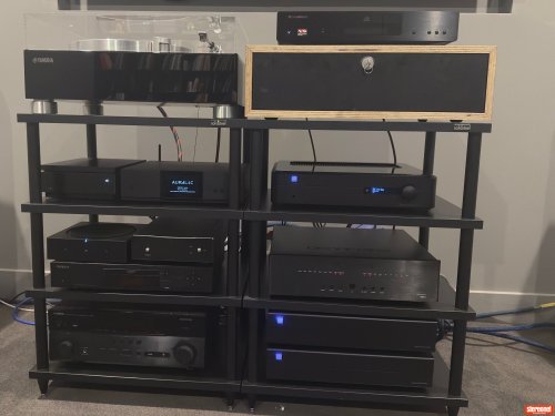 PS Audio M1200 Mono Amplifiers