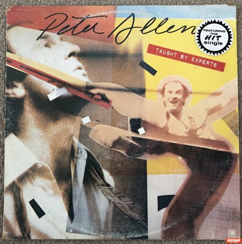 Peter Allen - Taught by Expert Vinyl Record (LP)