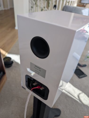 Dynaudio Focus 160 Bookshelf Loudspeakers