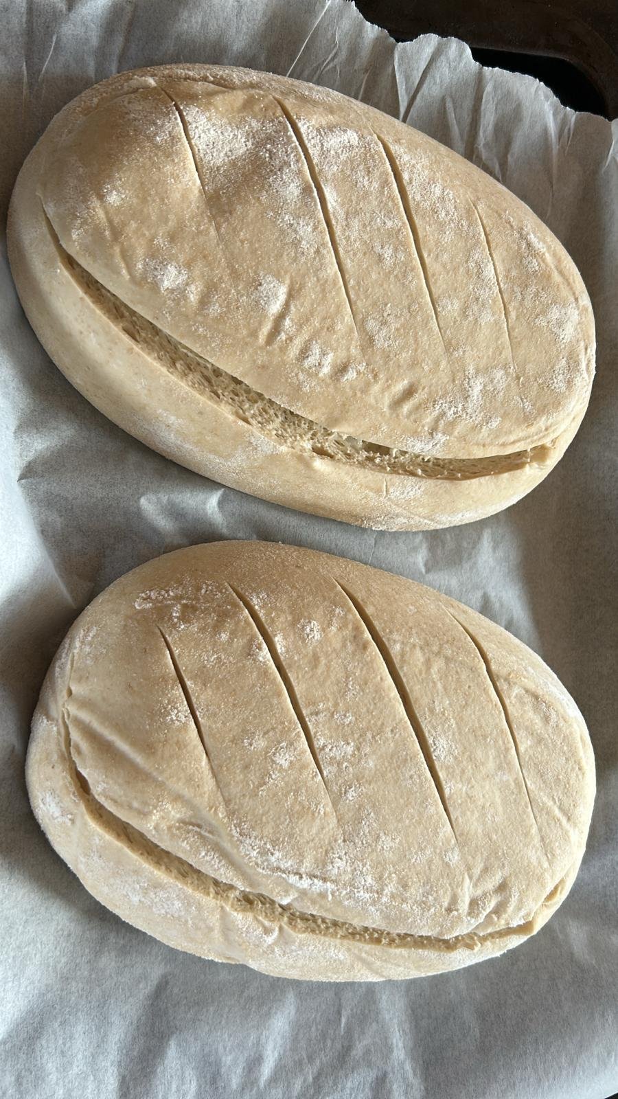 pre-ovensourdough.jpg.092b535a4ef4fb2f5c2e03d8e2ededb8.jpg