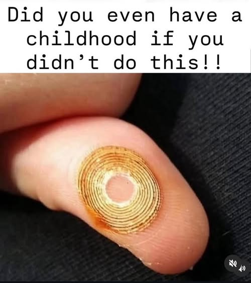 image.png.b398ea2b11e43a0b4f9030ddc9cb1779.png