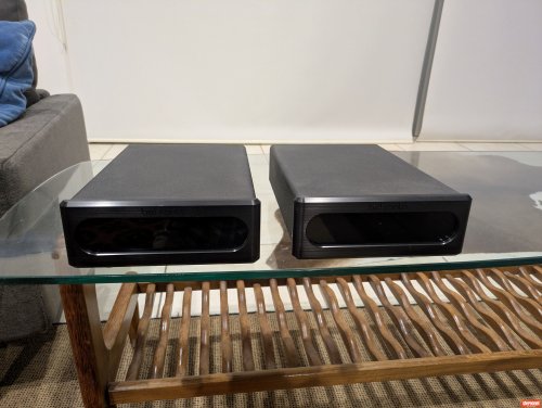 Bel Canto Design 601m Mono Amplifiers