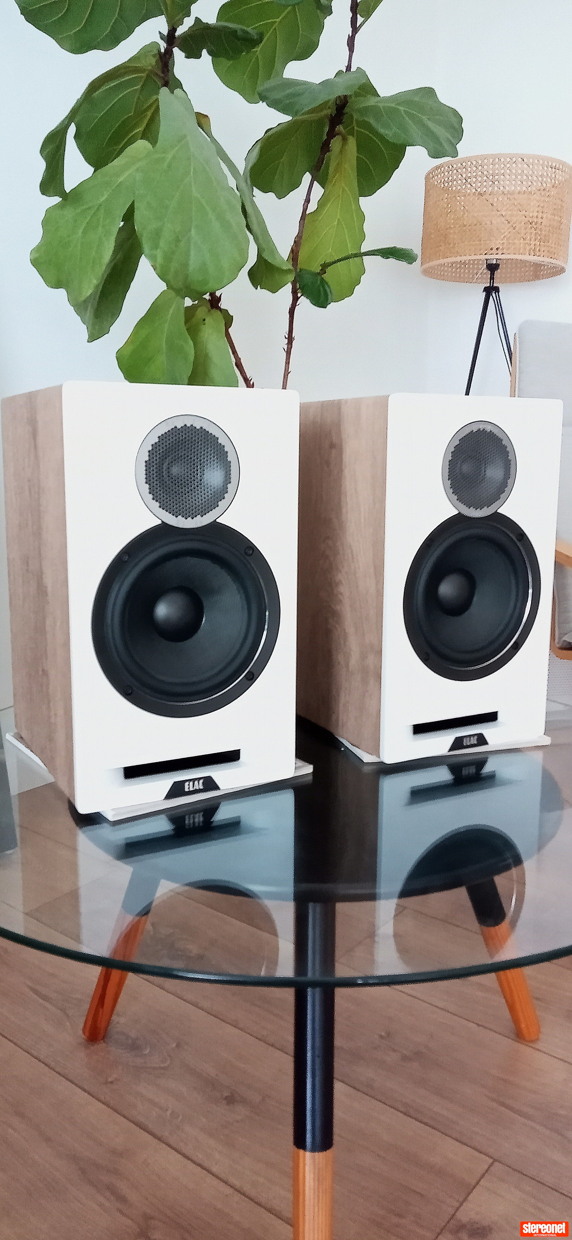 ELAC Debut DBR62 Bookshelf Loudspeakers