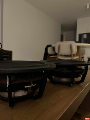 Dynaudio Esotec MW172 Woofer