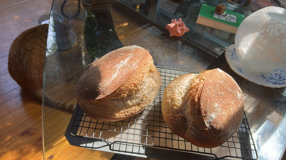 Brote Weihnachten.jpg