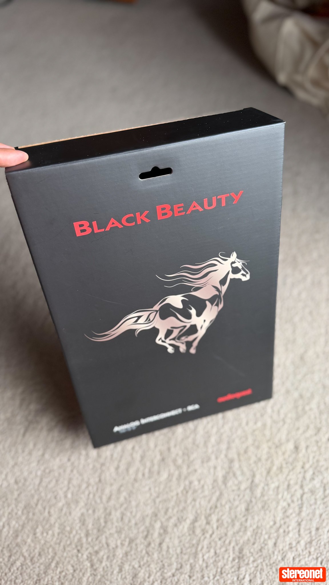 AudioQuest Black Beauty RCA 1 meter Interconnect Cables (RCA)